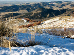 Medical Director, Rehab physiatry job in Pocatello, ID with picture of the ID plains