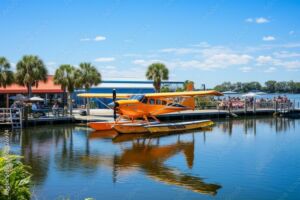 Medical Director, Rehab Physiatry Job in Tavares, FL with picture of seaplane there
