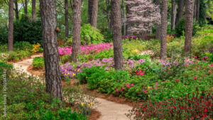 Interventional physiatry job in NC with picture of gardens in NC