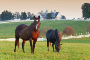 Medical Director, REhab Physiatry in KY with picture of KY horse farm